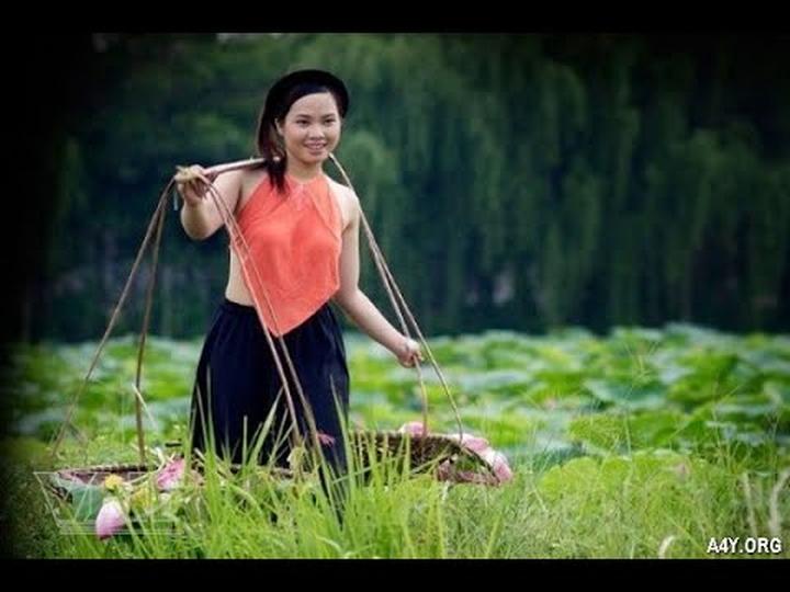 Triệu Video Lên Sóng: Nhịp Đập Hotspot Matrix