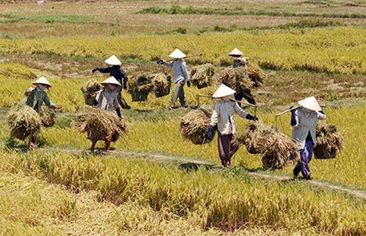 Hotspot Matrix và quần áo thời trang cho trẻ nhỏ