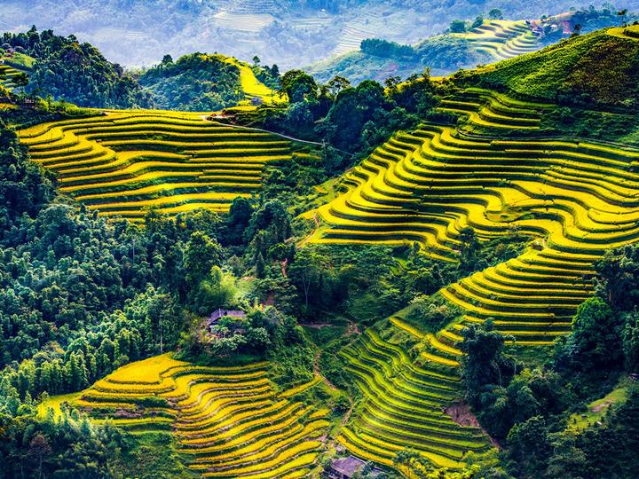 Hotspot Matrix: Biến 1 người vừa mua Labubu giá thành cơ hội marketing đột phá