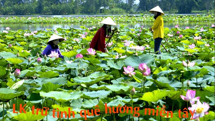 Tỏa Sáng Trên Mạng Xã Hội: Chuyên Gia Trang Điểm & Hotspot Matrix