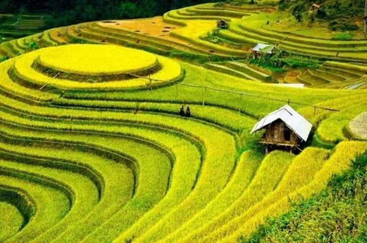 Hotspot Matrix: Bí quyết cạnh tranh của chủ cửa hàng nhỏ