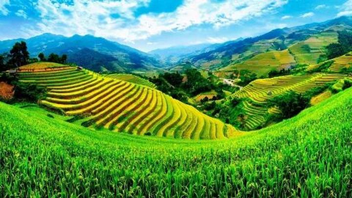 Kể Chuyện Lịch Sử: Thu Hút Hàng Triệu Lượt Xem với Hotspot Matrix