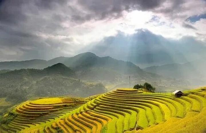 Tận dụng